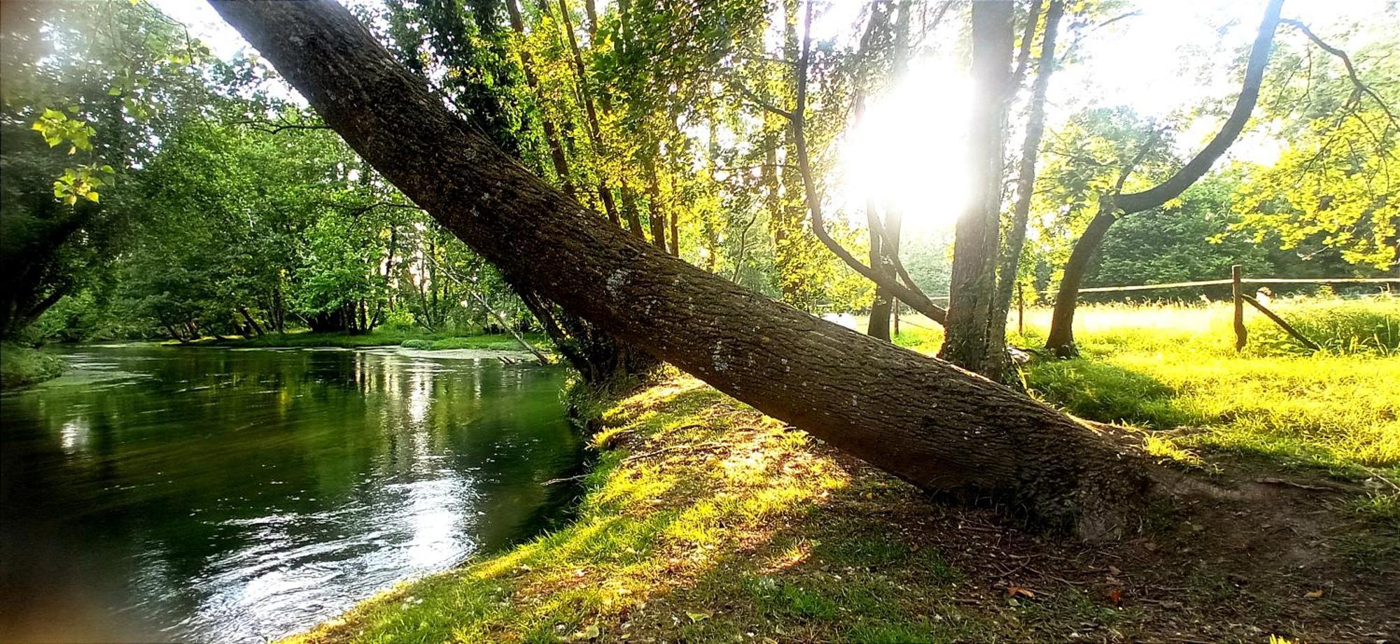 La Regina Del Bosco Villa Rivignano Exteriör bild
